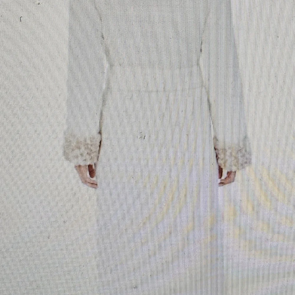 Wrap Robe - Picture 4 of 5